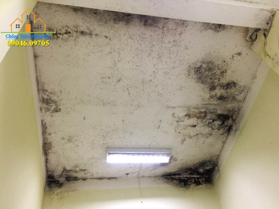 chống thấm dột trần nhà